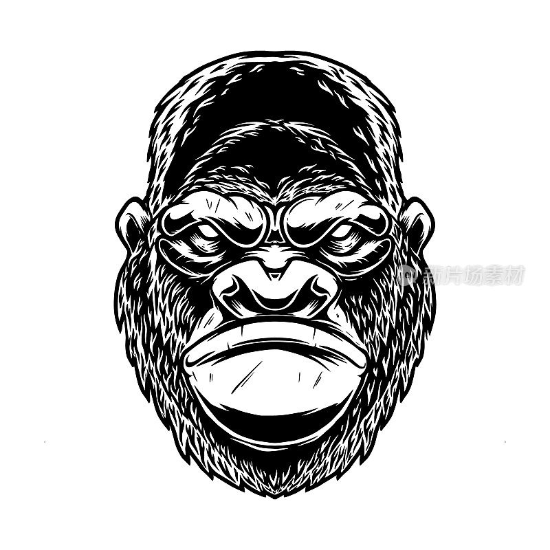Illustration of head of angry ape in vintage monochrome style. Design element for emblem, sign, poster, card, banner. Vector illustration